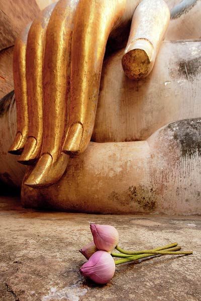 常啼菩萨对法胜菩萨生起了无比的欢喜心,信心和恭敬心.